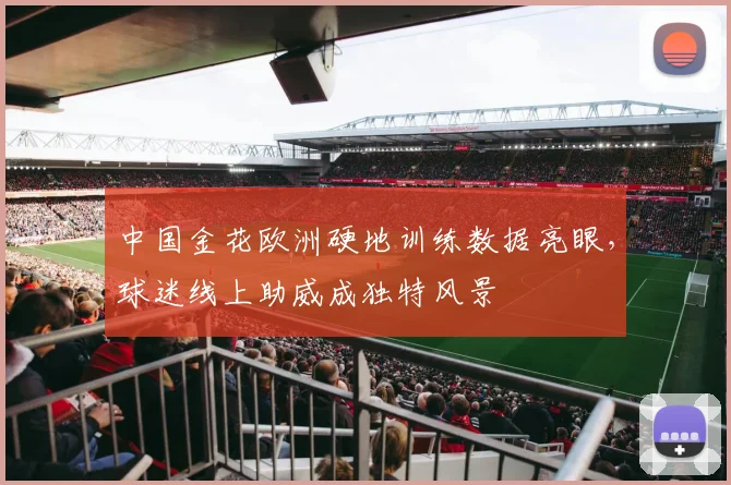 中国金花欧洲硬地训练数据亮眼，球迷线上助威成独特风景