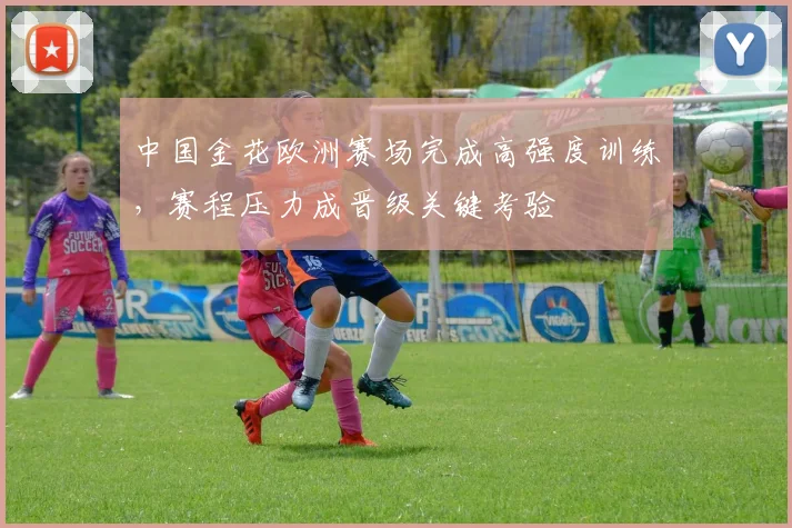中国金花欧洲赛场完成高强度训练，赛程压力成晋级关键考验