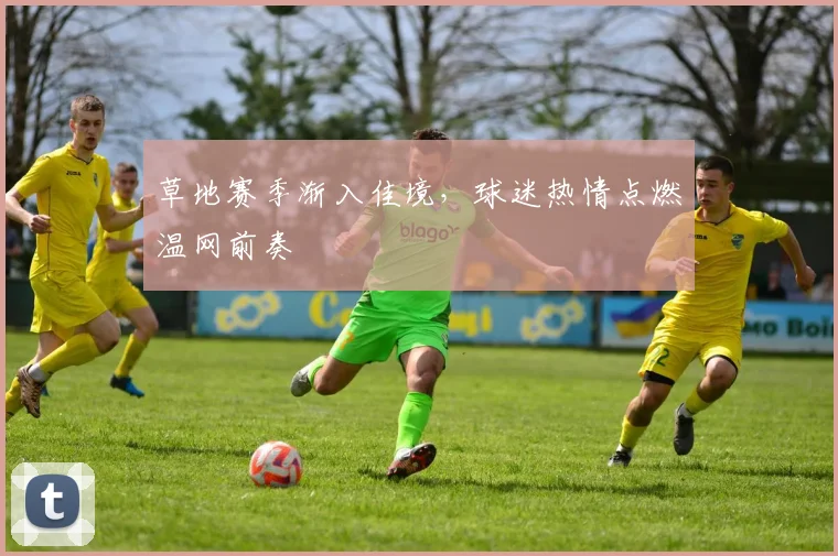 草地赛季渐入佳境，球迷热情点燃温网前奏