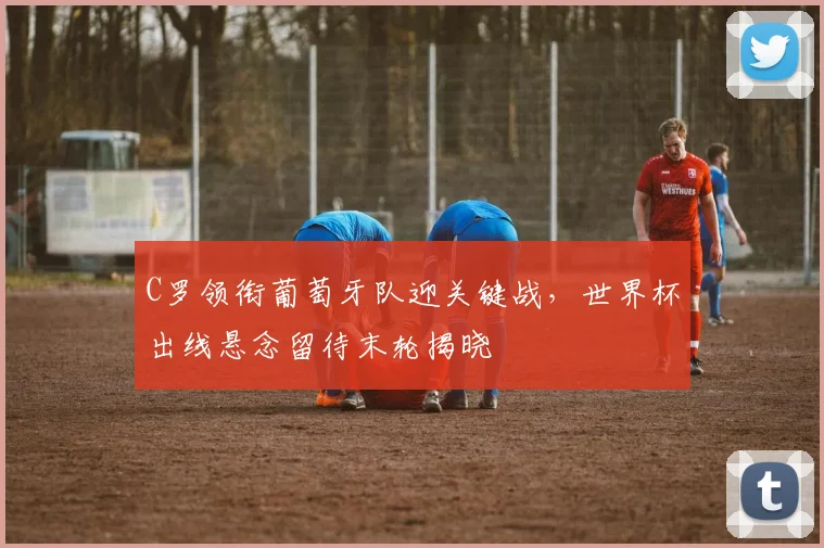 C罗领衔葡萄牙队迎关键战，世界杯出线悬念留待末轮揭晓