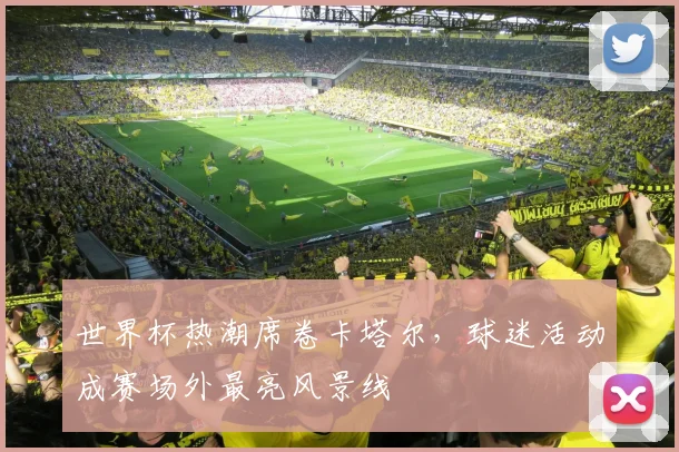 世界杯热潮席卷卡塔尔，球迷活动成赛场外最亮风景线