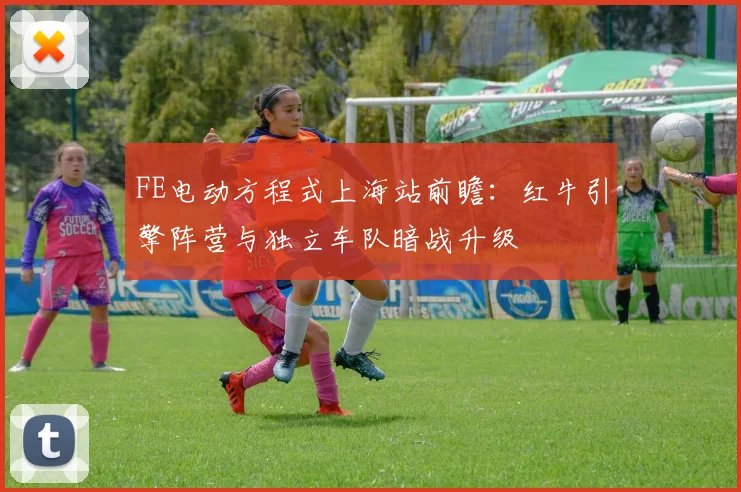 FE电动方程式上海站前瞻：红牛引擎阵营与独立车队暗战升级