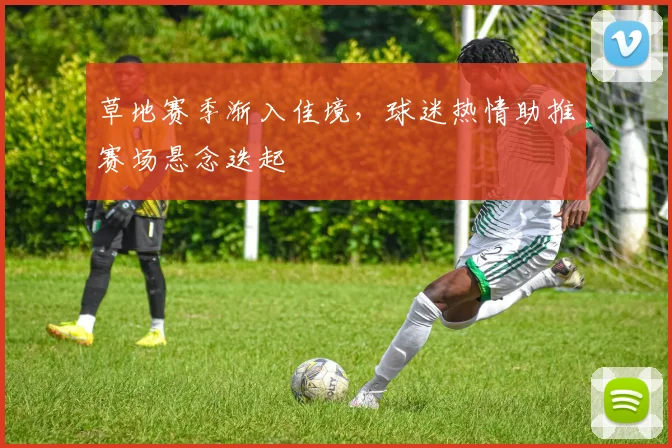 草地赛季渐入佳境，球迷热情助推赛场悬念迭起