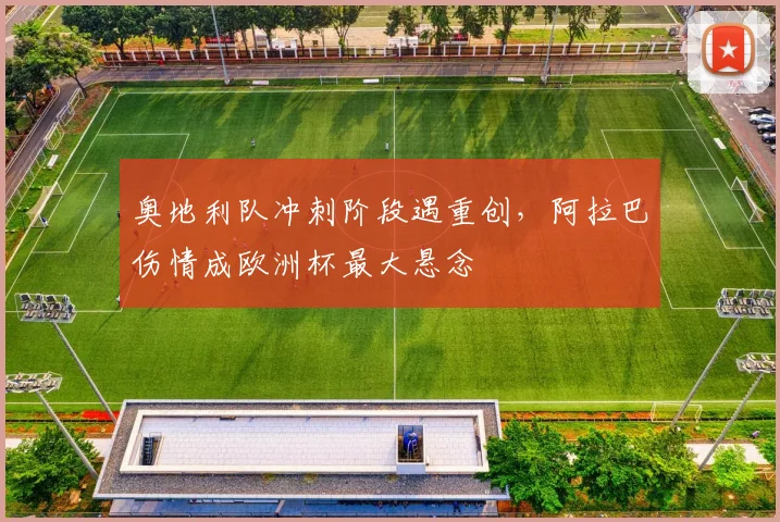 奥地利队冲刺阶段遇重创，阿拉巴伤情成欧洲杯最大悬念
